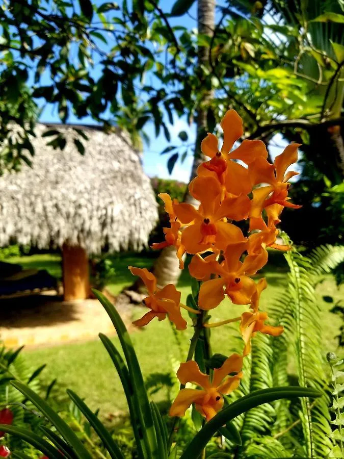 Solazul Bed & Breakfast Las Galeras Dominican Republic