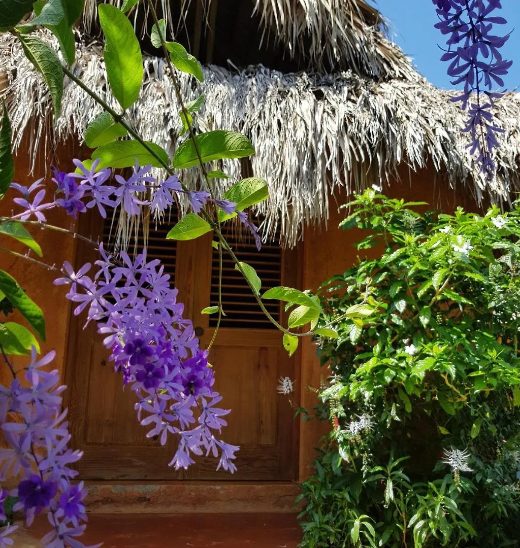 Solazul Bed & Breakfast Las Galeras